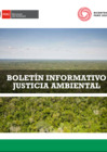 Vista preliminar de documento boletín