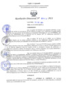 Vista preliminar de documento RD Nº 0043-2021.pdf