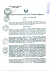 Vista preliminar de documento COPIA DE R.D.N°0119.pdf
