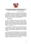 Vista preliminar de documento RES. 100-2021-SN