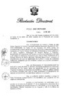 Vista preliminar de documento RD N° 028-2020.pdf