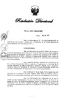 Vista preliminar de documento RD N° 223-2021.pdf