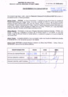 Vista preliminar de documento R.D.N° 410.pdf