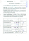 Vista preliminar de documento R.D.N°306.pdf