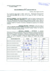 Vista preliminar de documento R.D.N°315.pdf