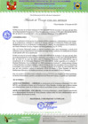 Vista preliminar de documento Acuerdo de Consejo N°038-2021-MPVH CM.pdf