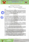 Vista preliminar de documento Acuerdo de Consejo N°047-2021-MPVH CM.pdf
