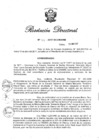 Vista preliminar de documento RD Nº 133-2017.pdf