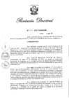 Vista preliminar de documento RD Nº 111-2017.pdf