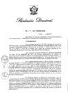 Vista preliminar de documento RD Nº 115-2017.pdf