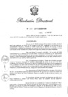Vista preliminar de documento RD Nº 119-2017.pdf