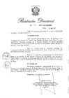 Vista preliminar de documento RD Nº 131-2017.pdf