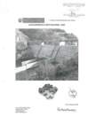 Vista preliminar de documento Plan Operativo Institucional (POI) 2021 del PEBLT