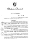 Vista preliminar de documento RD 397-2017.pdf