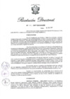 Vista preliminar de documento RD N 196-2017.pdf
