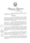 Vista preliminar de documento RD N 221-2017.pdf