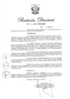 Vista preliminar de documento RD N 223-2017.pdf