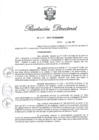 Vista preliminar de documento RD N 224-2017.pdf
