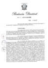 Vista preliminar de documento RD N 225-2017.pdf
