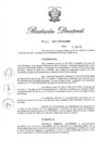 Vista preliminar de documento RD N 226-2017.pdf