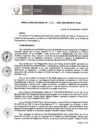Vista preliminar de documento Resol. 058-2020