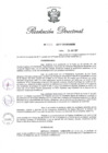 Vista preliminar de documento RD N 233-2017.pdf