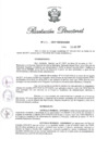 Vista preliminar de documento RD N 235-2017.pdf