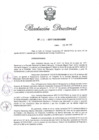 Vista preliminar de documento RD N 236-2017.pdf