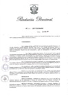 Vista preliminar de documento RD N 237-2017.pdf