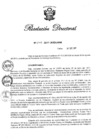 Vista preliminar de documento RD N 249-2017.pdf