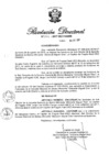 Vista preliminar de documento RD N 251-2017.pdf