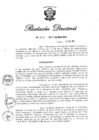 Vista preliminar de documento RD N 262-2017.pdf