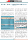 Vista preliminar de documento RMCR junio 2021
