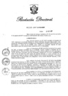 Vista preliminar de documento RD N 270-2017.pdf