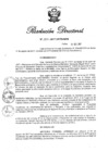 Vista preliminar de documento RD N 284-2017.pdf