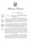 Vista preliminar de documento RD N 290-2017.pdf