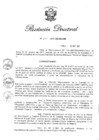 Vista preliminar de documento RD N 293-2017.pdf