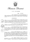 Vista preliminar de documento RD N 294-2017.pdf