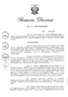 Vista preliminar de documento RD N 299-2017.pdf