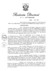 Vista preliminar de documento RD N 301-2017.pdf