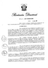 Vista preliminar de documento RD N 377-2017.pdf