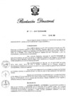 Vista preliminar de documento RD N 381-2017.pdf