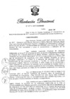 Vista preliminar de documento RD N 384-2017.pdf