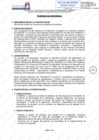 Vista preliminar de documento Servicio de Gestión de Proyectos de sistemas informáticos