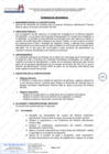 Vista preliminar de documento Servicio de desarrollo de software para el sistema informático Identificación Positiva Web en apoyo al proceso de emisión del DNI