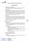 Vista preliminar de documento Servicio de soporte y mantenimiento de software de Inteligencia de Negocio (BI) sobre la línea de producción de DNI y la Línea de producción de registros civiles.