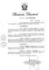 Vista preliminar de documento RD Nº 213-2017.pdf