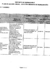 Vista preliminar de documento Plan de Acción Anual - Sección Medidas de Remediación
