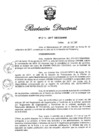 Vista preliminar de documento RD N° 246-2017.pdf