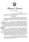 Vista preliminar de documento RD N° 266-2017.pdf